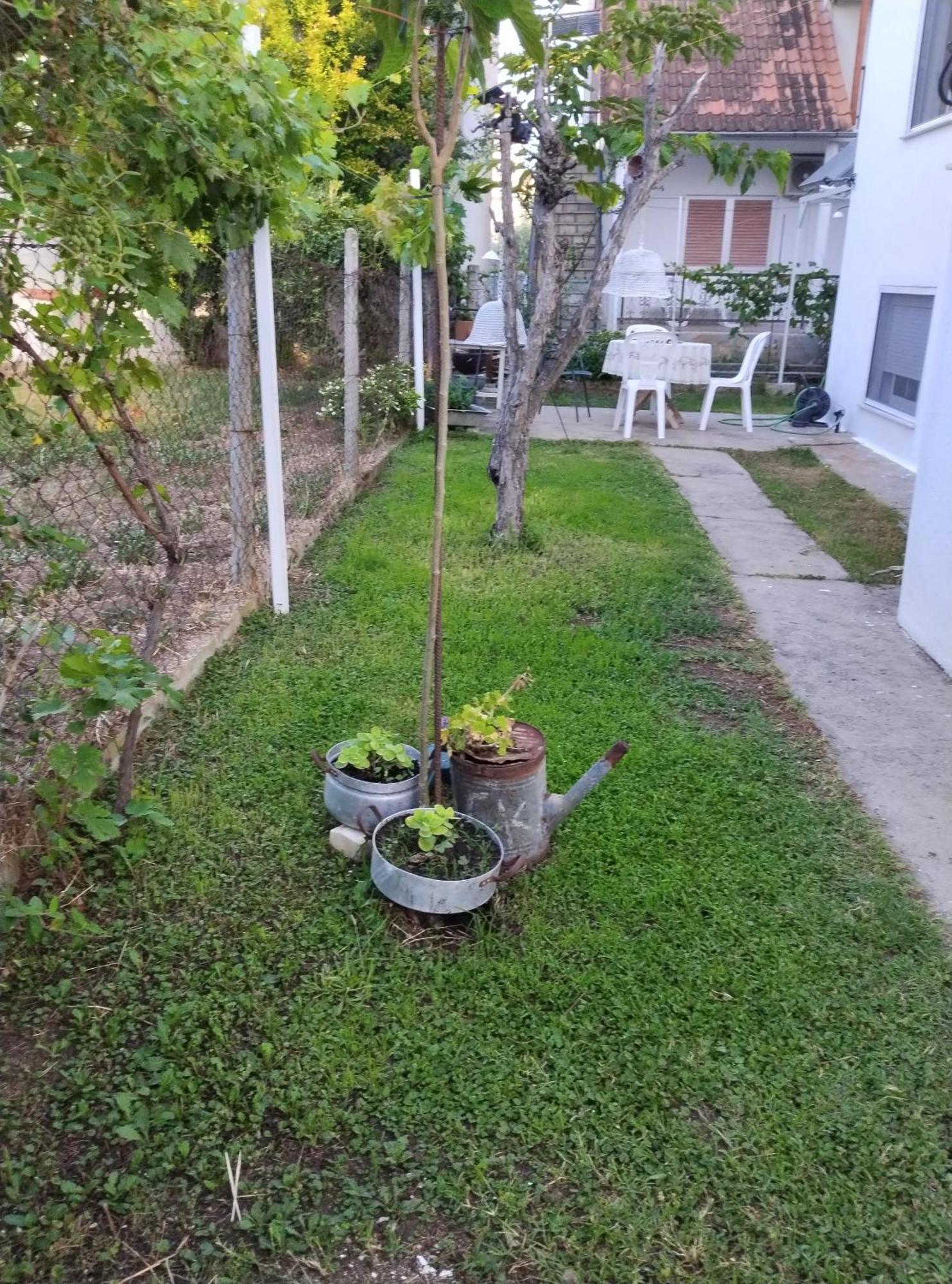 Θαλασσινή Αυρα Βίλα Βρασνά Εξωτερικό φωτογραφία