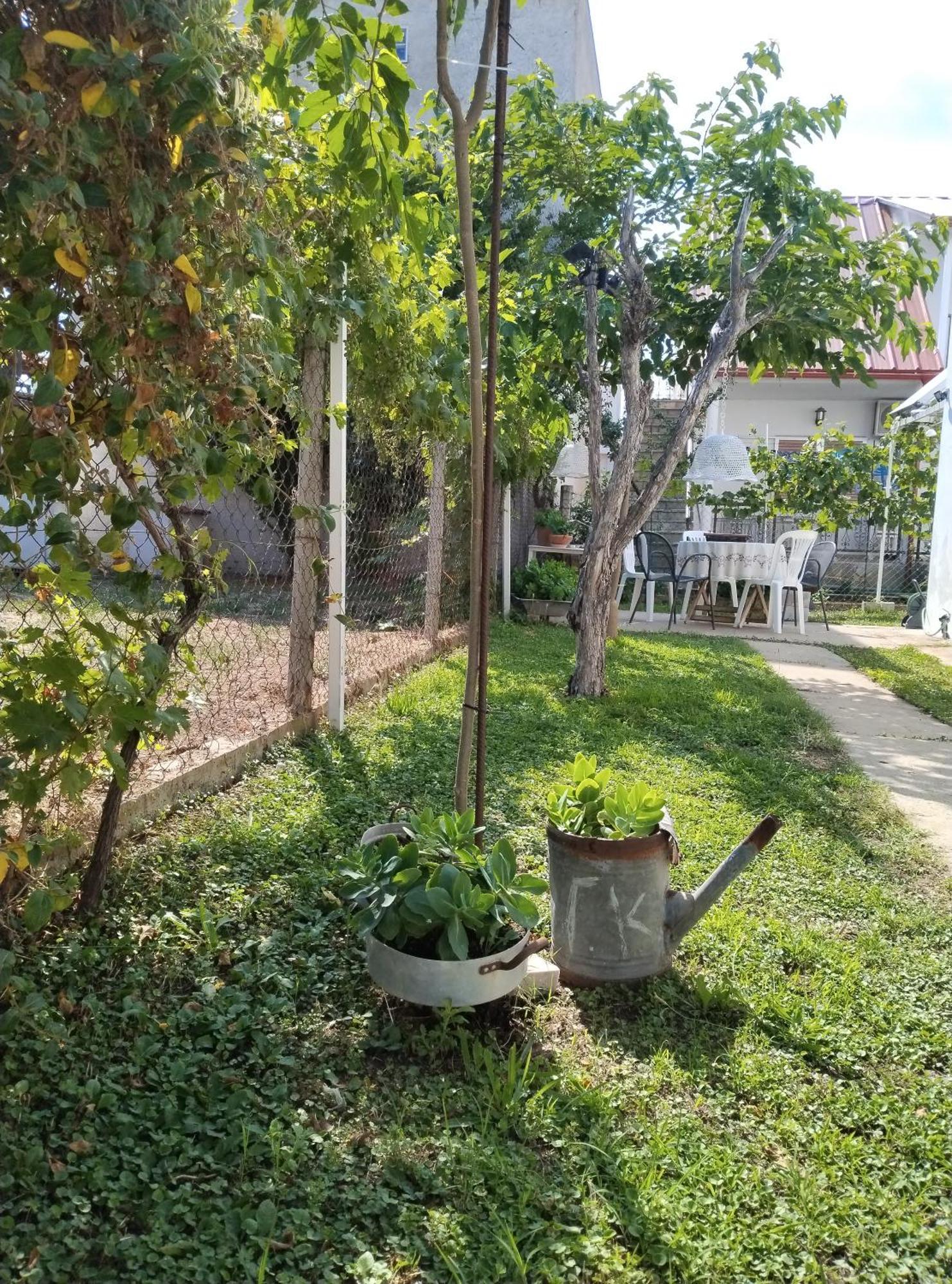 Θαλασσινή Αυρα Βίλα Βρασνά Εξωτερικό φωτογραφία
